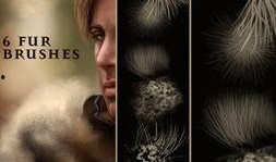 皮毛 在线观看 下载,揭秘动物世界中的神秘外衣